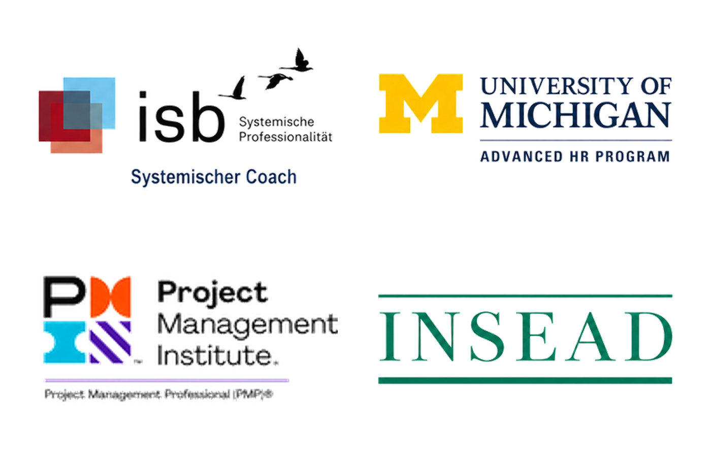 Weiterbildungen: isb Systemischer Coach und Organisationsentwickler, University of Michigan / Dave Ulrich Advanced HR Program, Project Management Institute PMP und INSEAD Leading Organisations in Disruptive Times